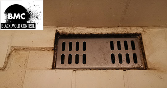 black mold in shower caulk
