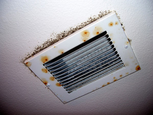 black mold in air vents