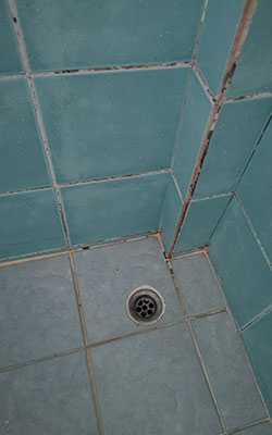 moldy shower caulk